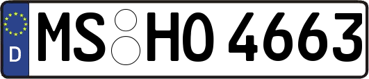 MS-HO4663