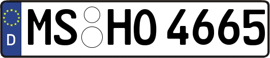 MS-HO4665