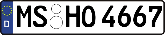 MS-HO4667