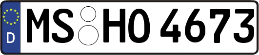 MS-HO4673