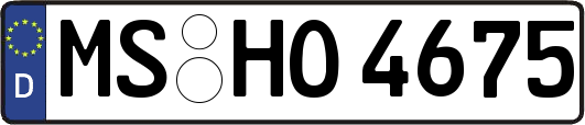 MS-HO4675