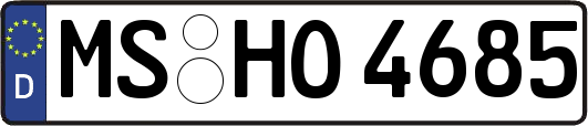 MS-HO4685
