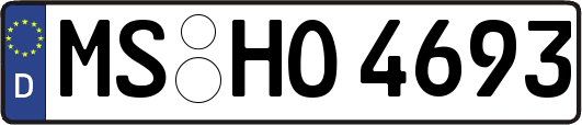 MS-HO4693