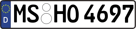 MS-HO4697