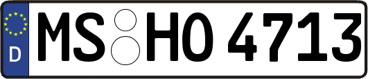 MS-HO4713