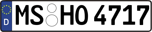 MS-HO4717