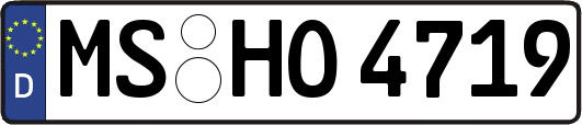MS-HO4719