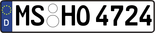 MS-HO4724