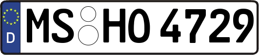 MS-HO4729