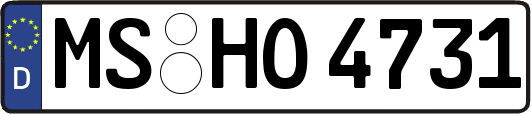MS-HO4731