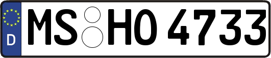 MS-HO4733