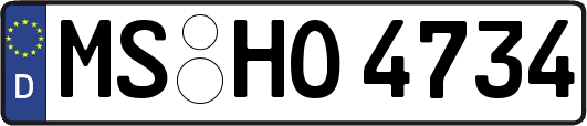 MS-HO4734