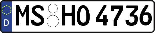 MS-HO4736
