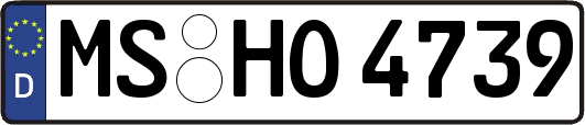 MS-HO4739