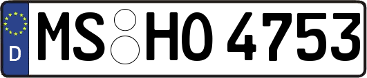 MS-HO4753