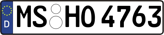 MS-HO4763