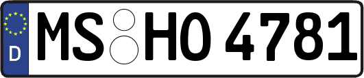 MS-HO4781