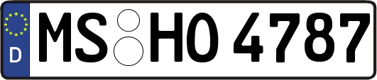 MS-HO4787