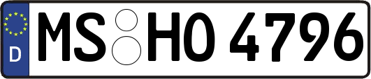 MS-HO4796