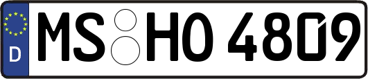 MS-HO4809