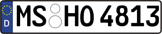 MS-HO4813