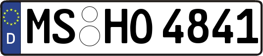 MS-HO4841