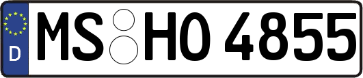 MS-HO4855