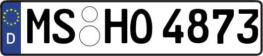 MS-HO4873