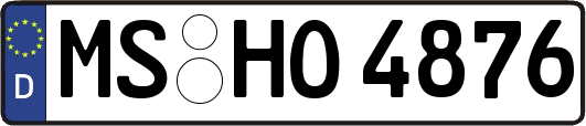 MS-HO4876
