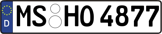 MS-HO4877