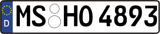 MS-HO4893