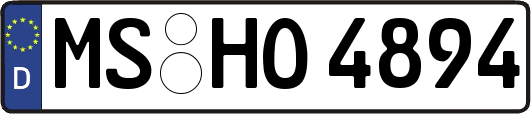 MS-HO4894