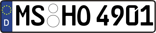 MS-HO4901