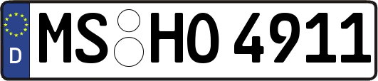 MS-HO4911