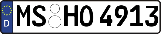 MS-HO4913