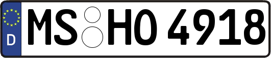 MS-HO4918