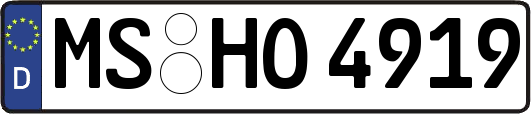 MS-HO4919