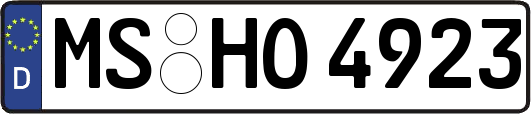 MS-HO4923