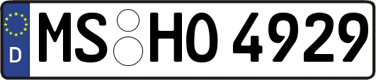 MS-HO4929