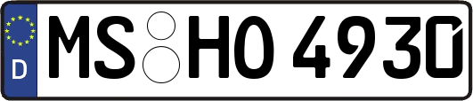 MS-HO4930