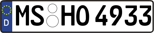 MS-HO4933