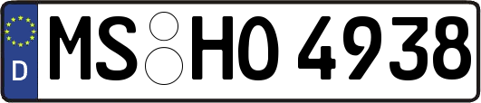 MS-HO4938