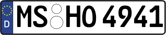 MS-HO4941