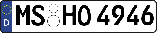 MS-HO4946