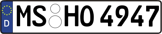 MS-HO4947