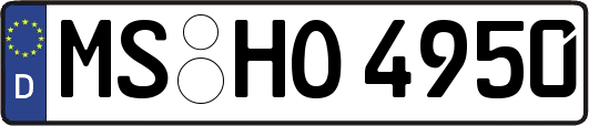 MS-HO4950