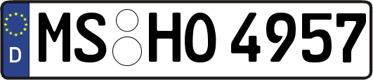 MS-HO4957