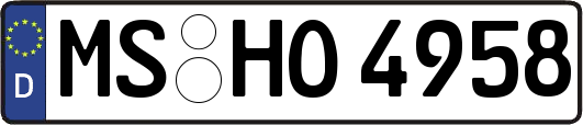 MS-HO4958