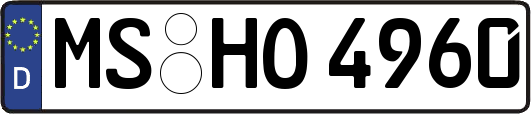 MS-HO4960