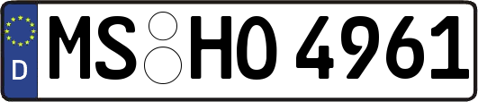 MS-HO4961